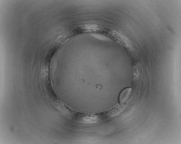 X0000115560369200911201827