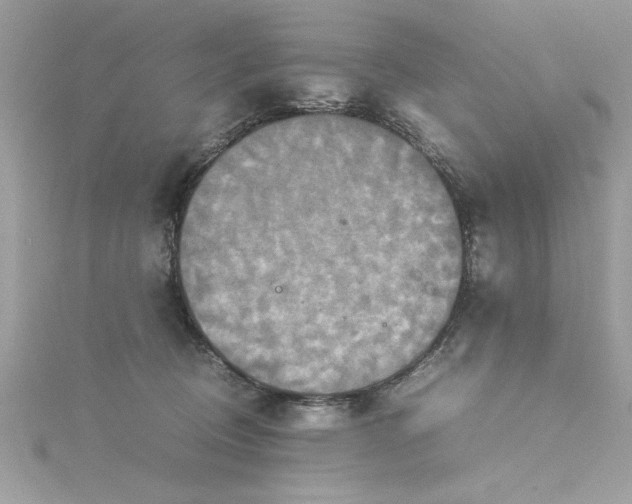 X0000115560370200911201827