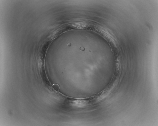 X0000115560371200911201827