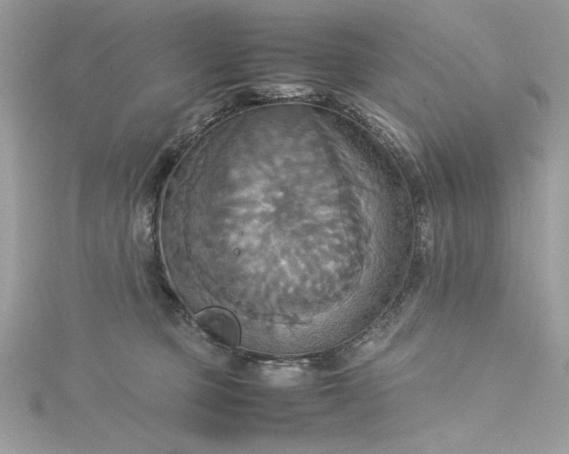 X0000115560373200911201827