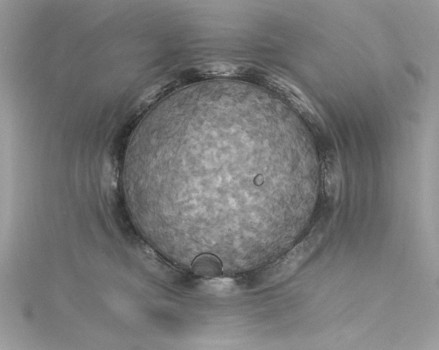 X0000115560374200911201827