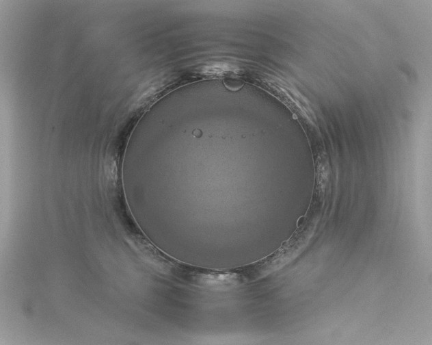 X0000115560375200911201827