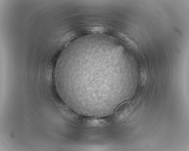 X0000115560379200911201827