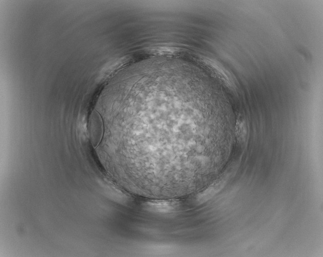 X0000115560381200911201827