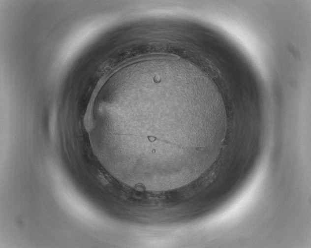 X0000115560382200911201827