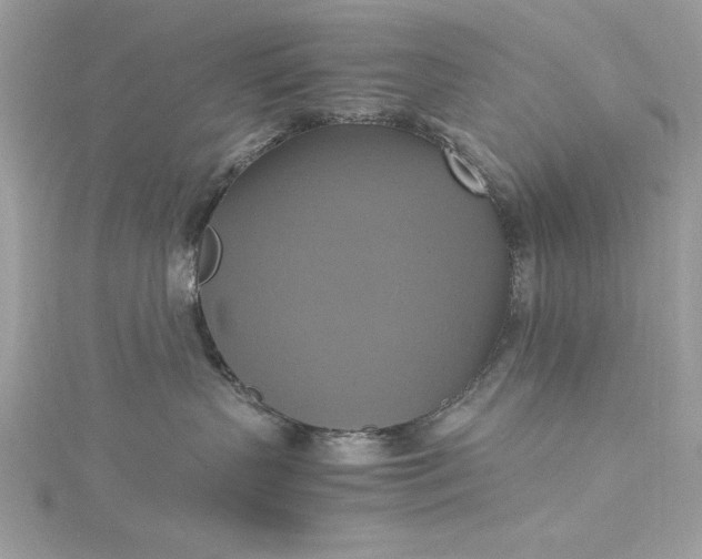 X0000115560383200911201827