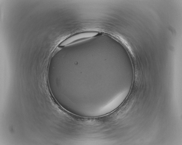 X0000115560385200911201827