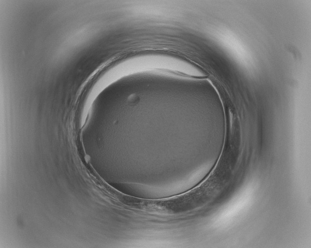 X0000115560387200911201827