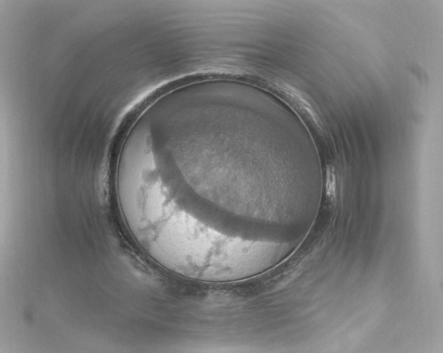 X0000115560388200911201827