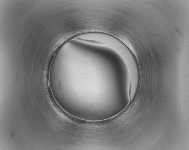 X0000115560389200911201827