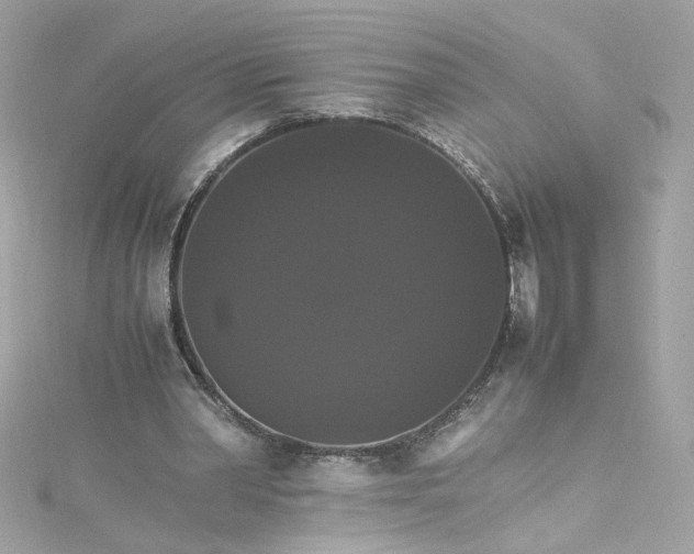 X0000115560390200911201827