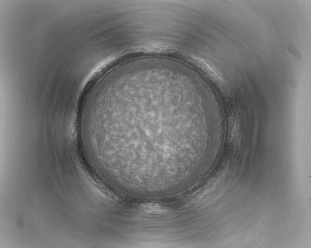 X0000115560392200911201827