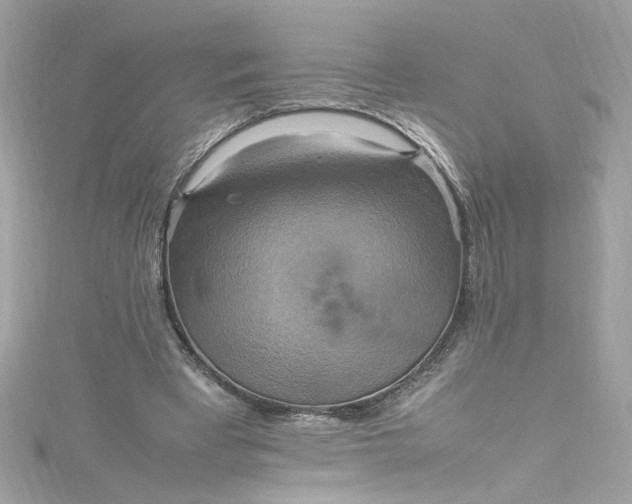 X0000115560393200911201827