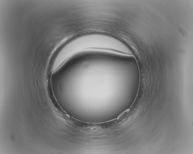 X0000115560395200911201827