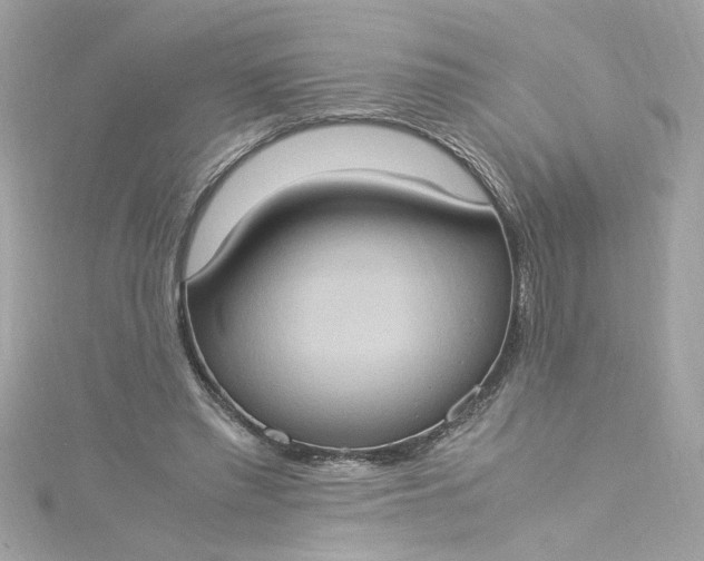 X0000115560397200911201827