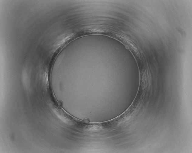 X0000115560398200911201827