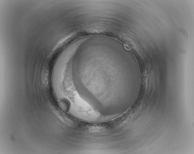 X0000115560400200911201827