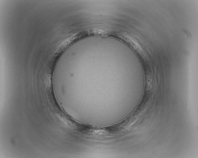 X0000115560401200911201827