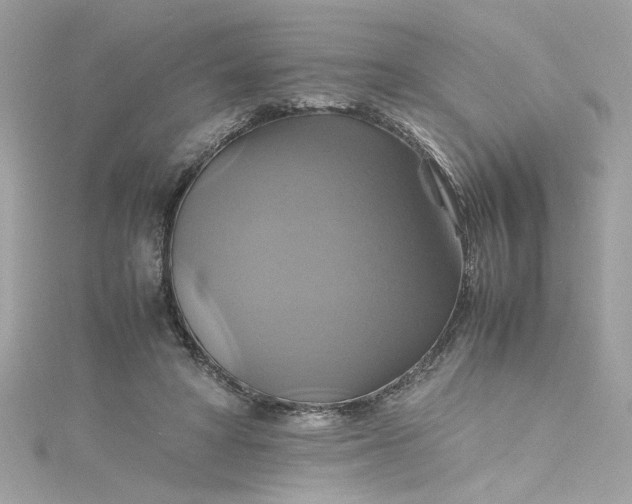 X0000115560402200911201827