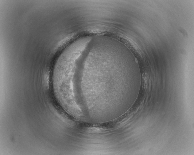 X0000115560404200911201827