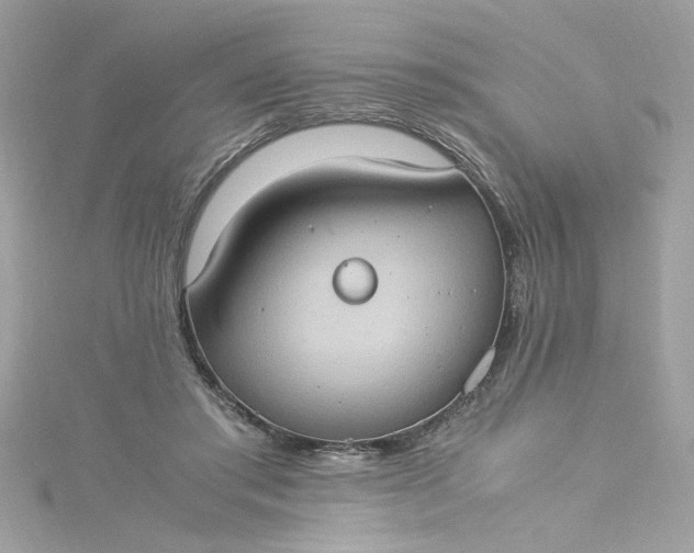 X0000115560405200911201827