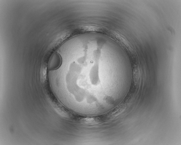 X0000115560406200911201826