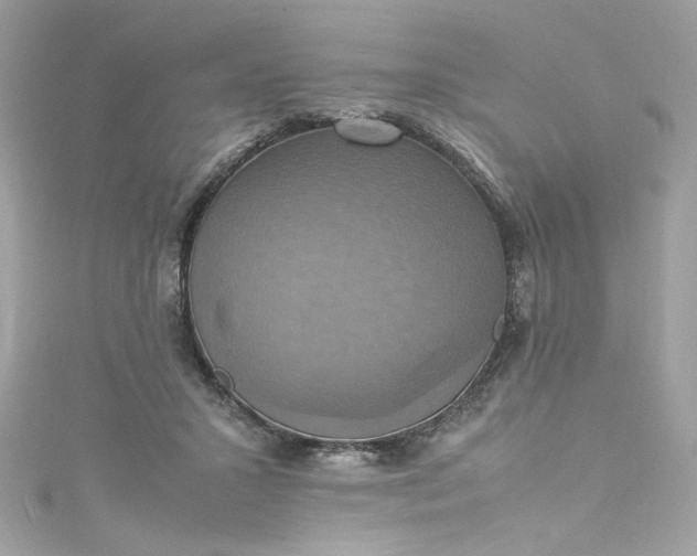 X0000115560407200911201826