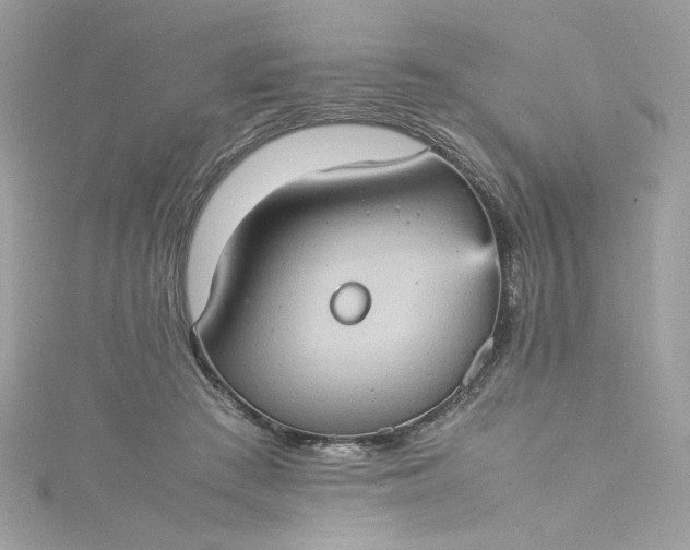 X0000115560409200911201826