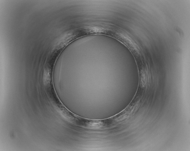 X0000115560410200911201826