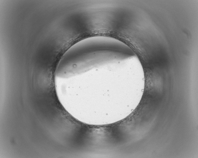 X0000115560411200911201826