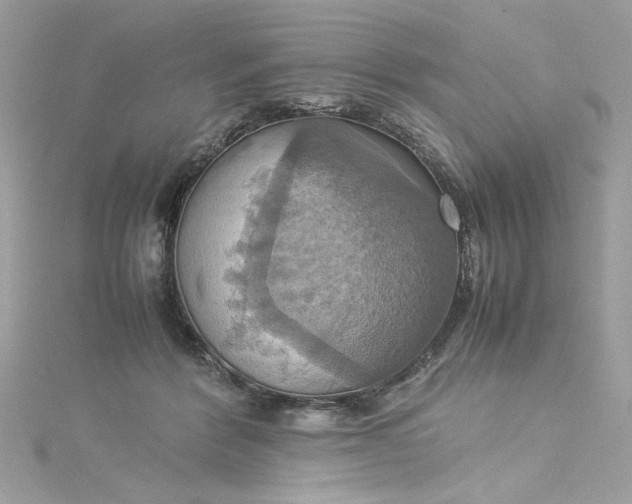 X0000115560412200911201826