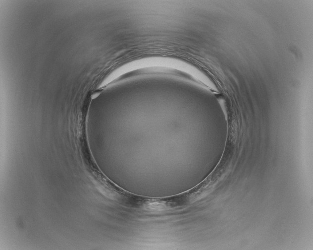 X0000115560413200911201826