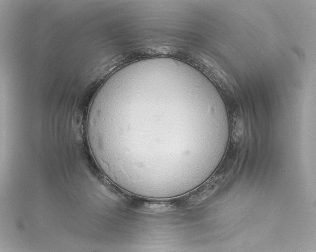 X0000115560414200911201826