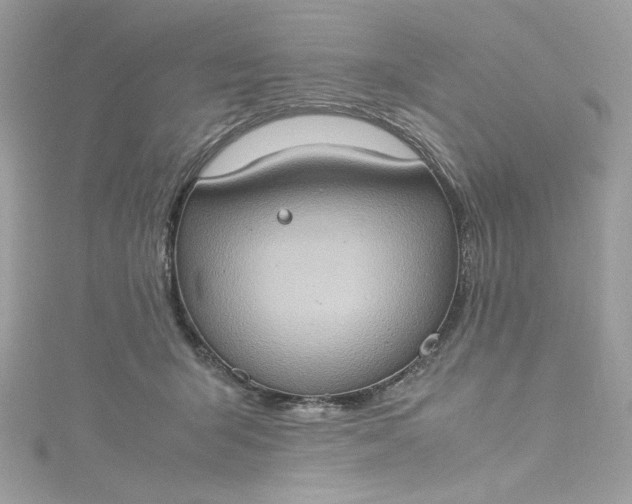 X0000115560415200911201826