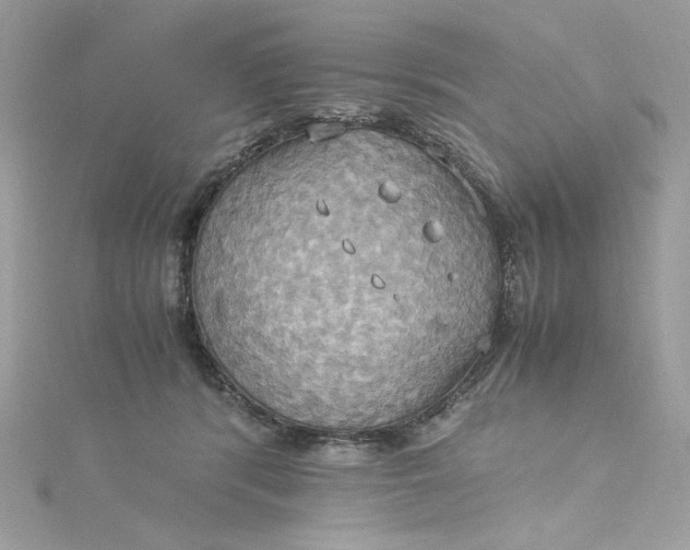 X0000115560416200911201826