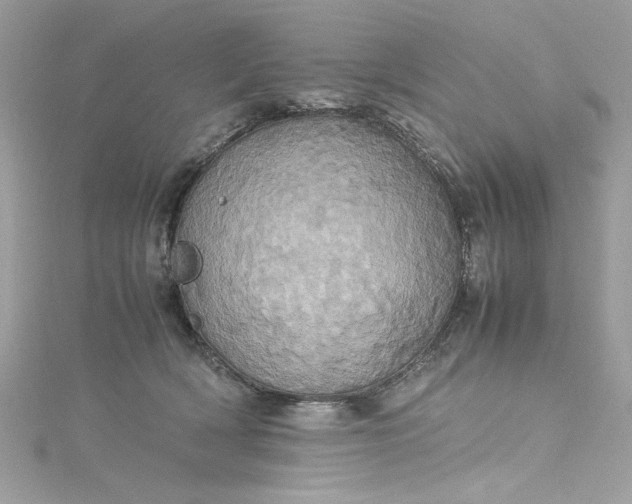 X0000115560418200911201826