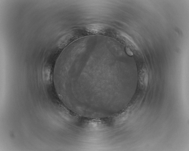 X0000115560420200911201826