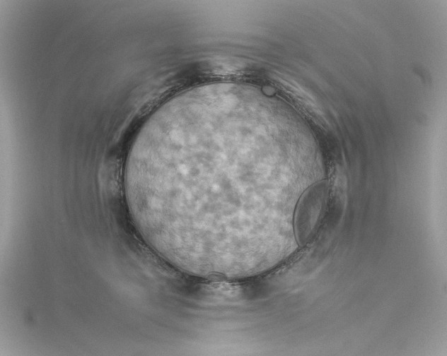 X0000115560421200911201826