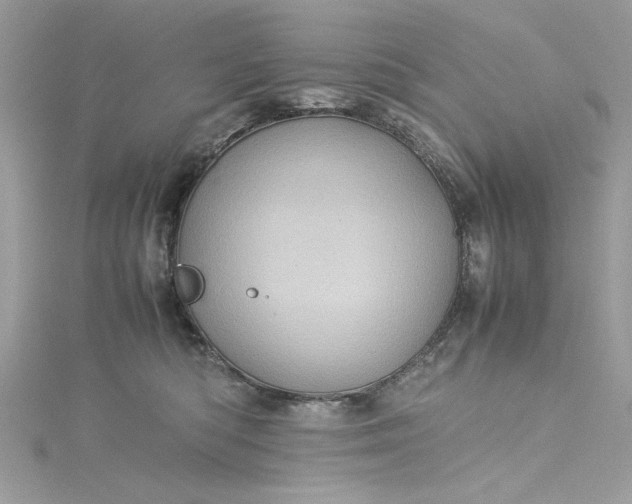 X0000115560422200911201826