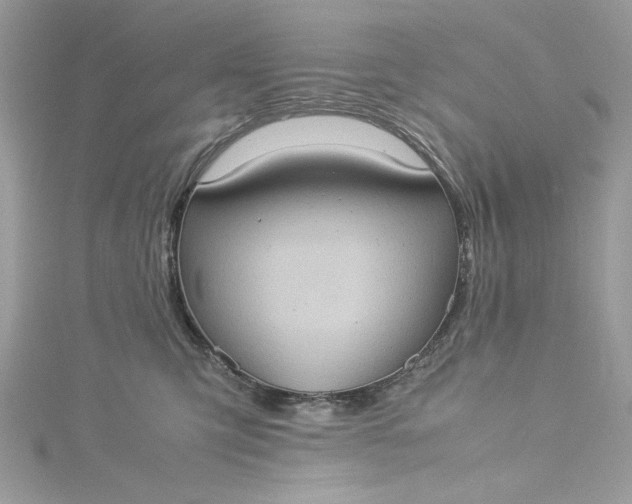 X0000115560423200911201826