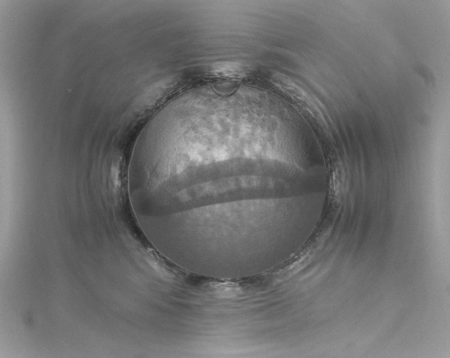 X0000115560424200911201826