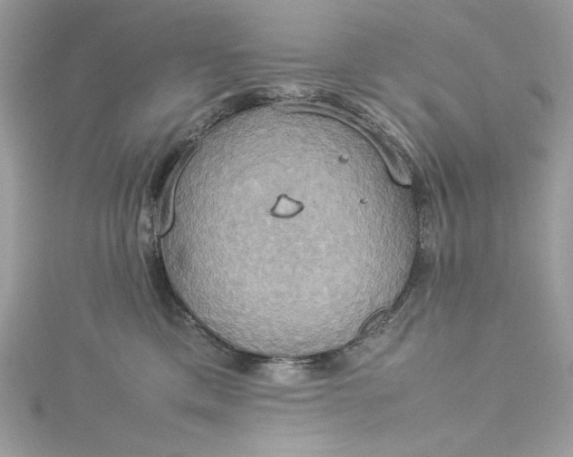 X0000115560425200911201826