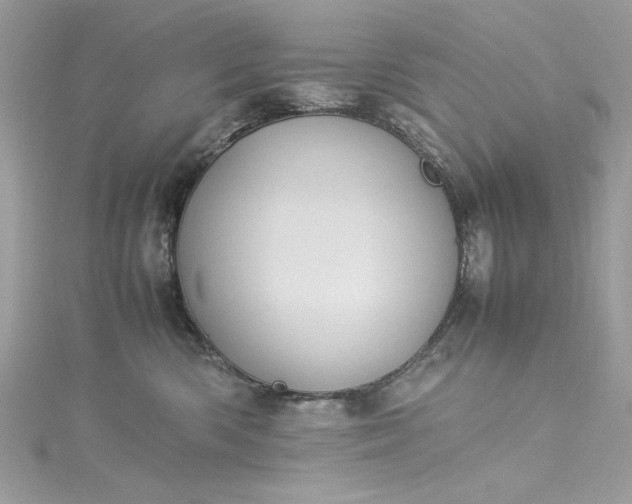 X0000115560426200911201826