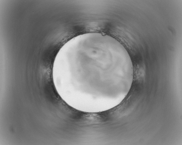 X0000115560427200911201826