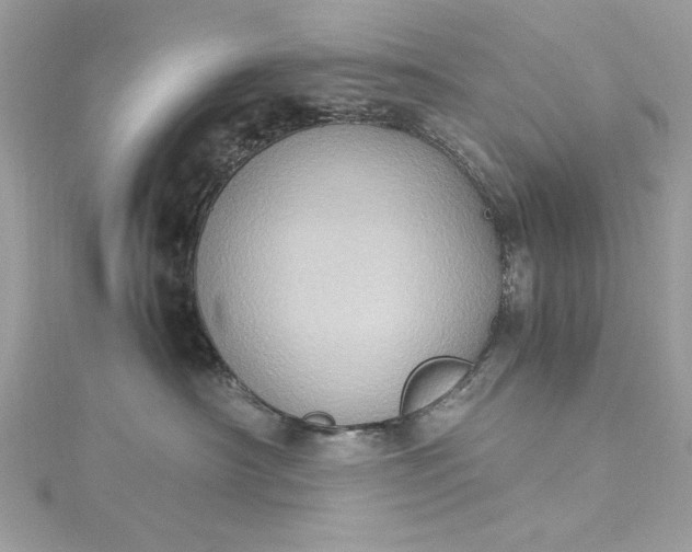 X0000115560430200911201826