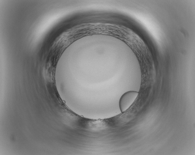 X0000115560431200911201826