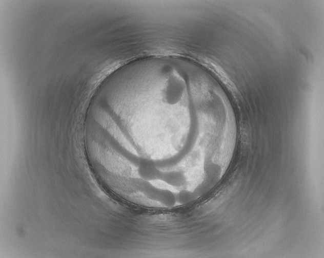 X0000115560433200911201826