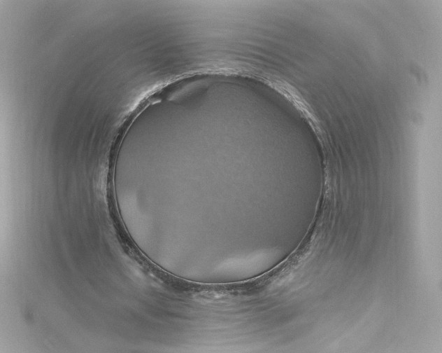 X0000115560434200911201826