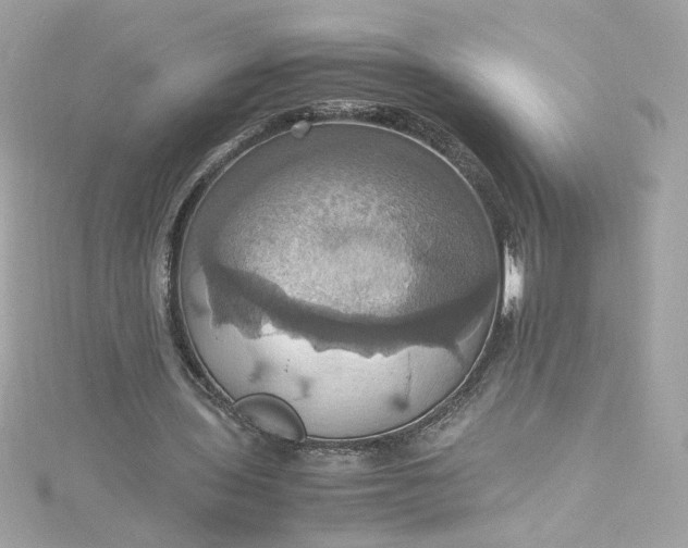 X0000115560435200911201826