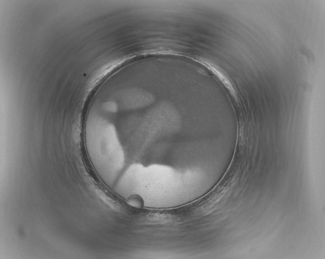 X0000115560437200911201826